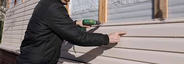 Professional Siding in Lake Ketchum, WA